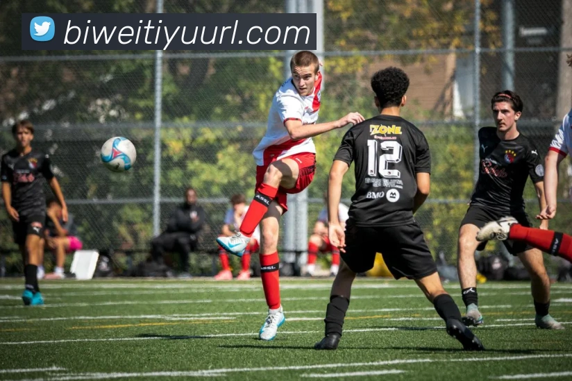 必威体育平台生态图