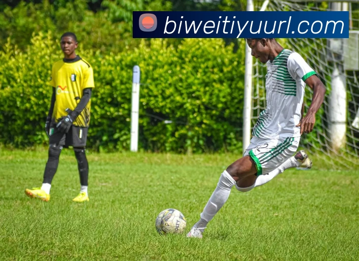 必威体育APP 封面图